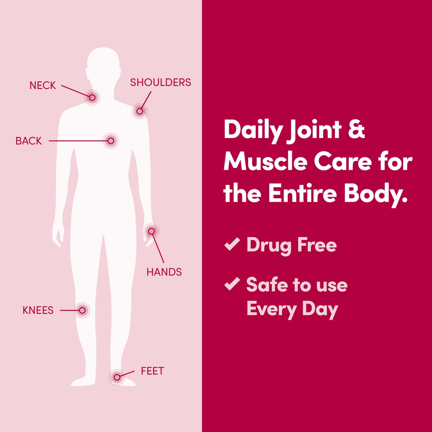 Penetrex Daily Joint & Muscle Care, 2 Oz. Cream