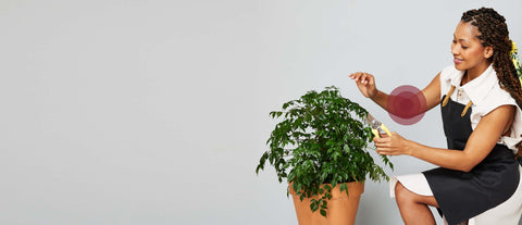 Botanical Ingredients. Lasting Relief.